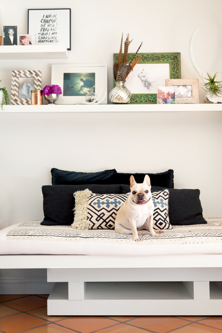 SiriBerting, SiriBertingPhotography, Interiors, Home Decor, Dog, Shelving designs